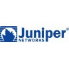 juniper